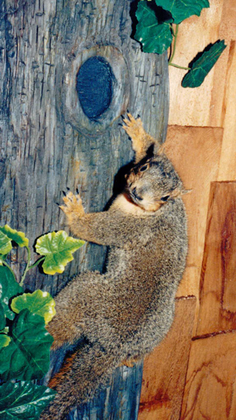 taxidermy squirrel